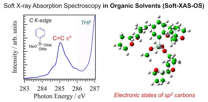 Figure 1. The electronic structures of organic molecules containing sp2-hybridized carbons in organic solvents were probed using the C K-edge XAS (Soft-XAS-OS), combined with inner-shell calculations.