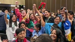 Indigenous Peoples and local communities  delegates at the UN Convention on Biological Diversity (COP16 in Cali)