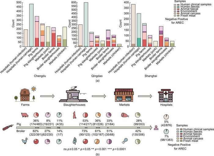 Summary of Sampling and Sample Processing Results