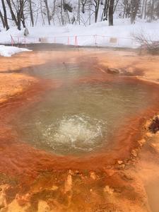 One of five hot springs