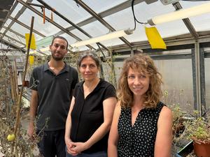 The research team (Left to right):  Guy Zer Eshel, Prof. Lilach Hadany & Dr. Rya Seltzer