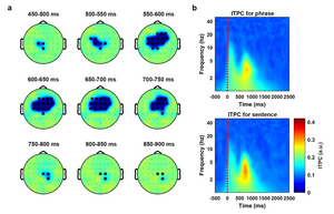 Fig 2. Phase coherence separates phrases and sentences at theta band.
