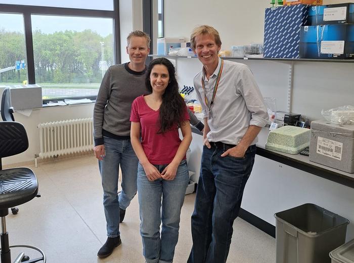 From left to right: PI Jorg van Loosdregt, first author Alejandra Bodelón and co-PI Bas Vastert