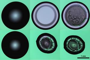 Water mixed with proteins drying on coated and uncoated glass