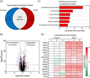 Breakthrough in Intractable Intestinal Disease Treatment Using Xenogeneic-Free Intestinal Stem Cells​