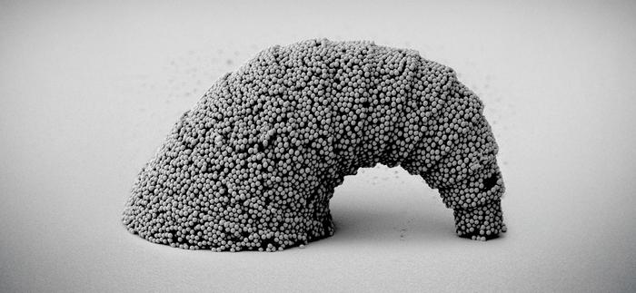 Nature Croissant.jpg