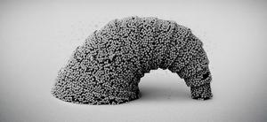 Nature Croissant.jpg