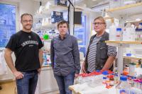 Group Photo in Lab, Ume&#229; University