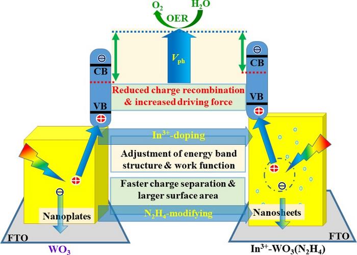 OER performance improvement via architecture modification and In3+-doping of WO3 photoanode