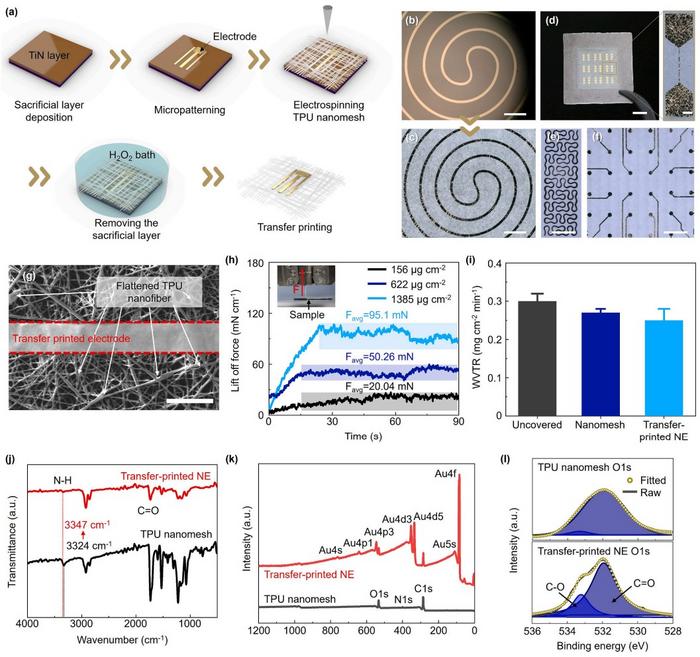 How to manufacture a transcriptional print NE