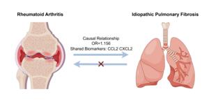 The causal relationship between rheumatoid arthritis and idiopathic pulmonary fibrosis and shared biomarkers CCL2/CXCL2.