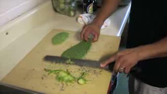 Cactus 'Flesh' Cleans up Toxic Water