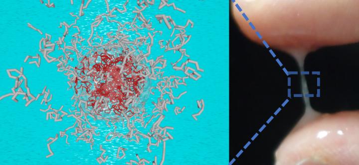 Patented microgel-reinforced hydrogel alternative to saliva