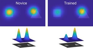 Tacit Knowledge