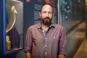 Prof. Roi Holzman.