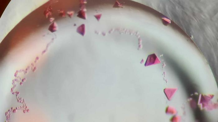 Protein crystals