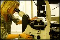 Optical Tweezers Lab