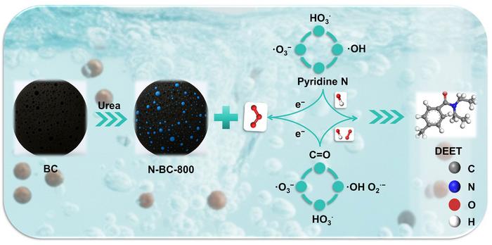 Synergistic catalytic ozonation by pyridinic N and C=O groups on cotton hulls biochar for efficient DEET degradation