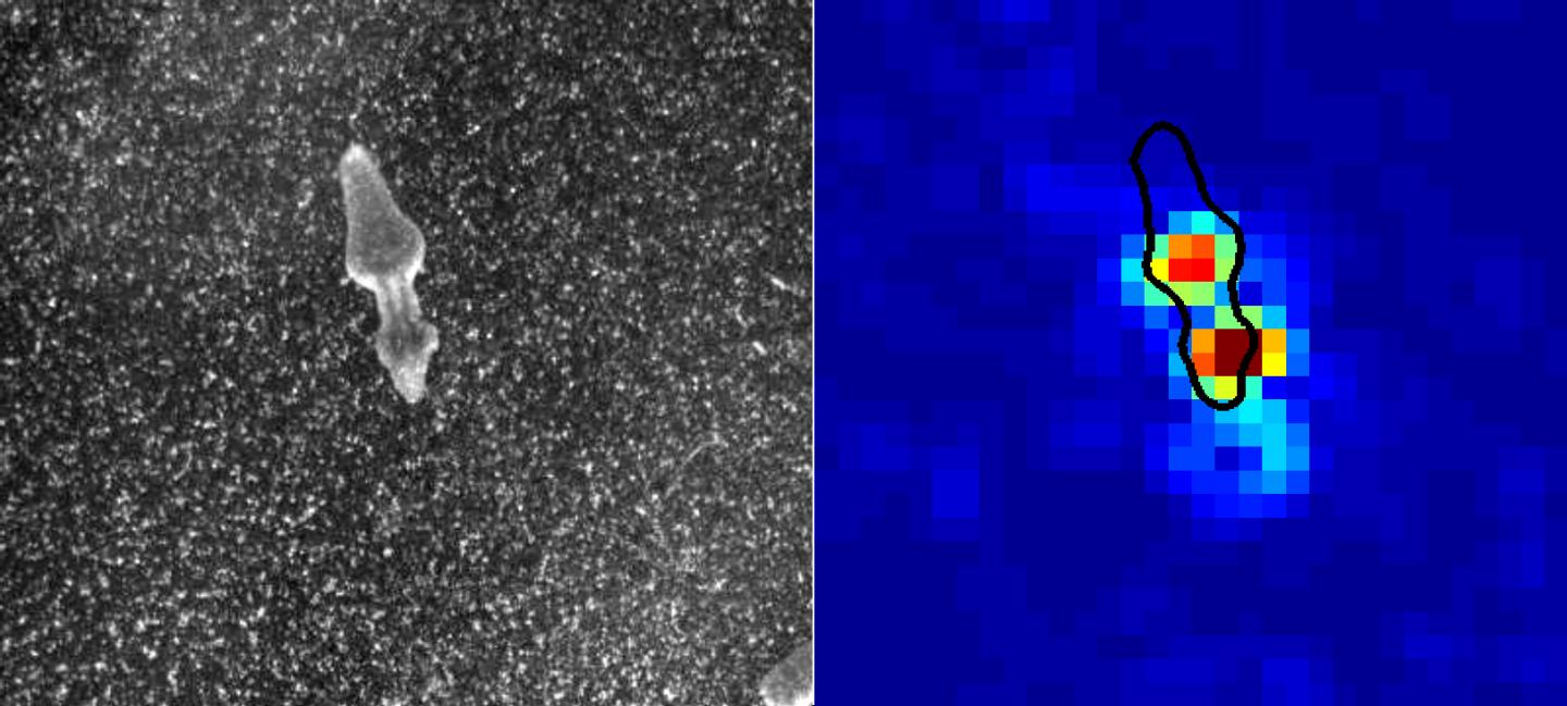Fission Captured