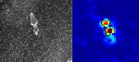 Fission Captured