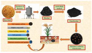 Nitrogen-fortified nanobiochar impacts soil properties, root growth and basmati rice yield