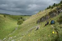 Semi-natural Grassland