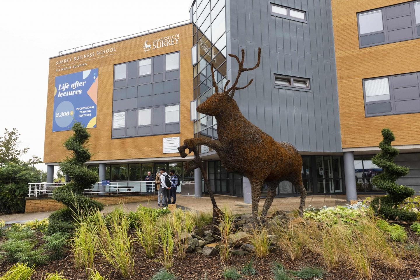 University of Surrey