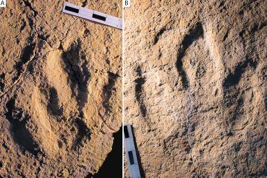 Jurassic Dinosaurs Trotted between Africa and Europe