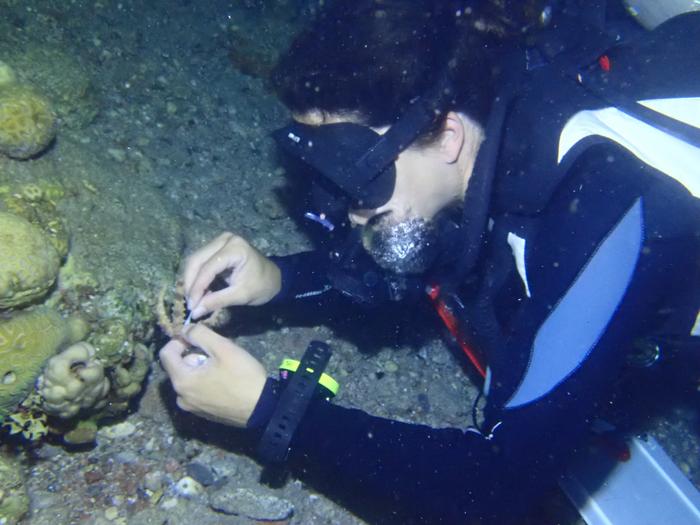 Diver taking sample underwater.