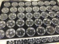 Petri Dishes