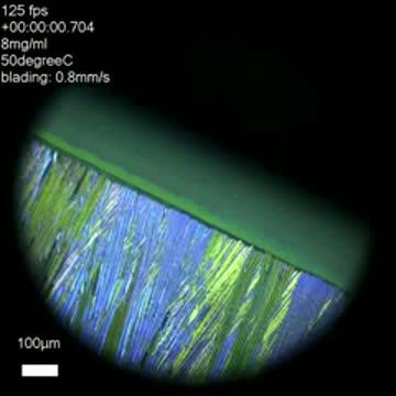 Movie of Crystals Drying