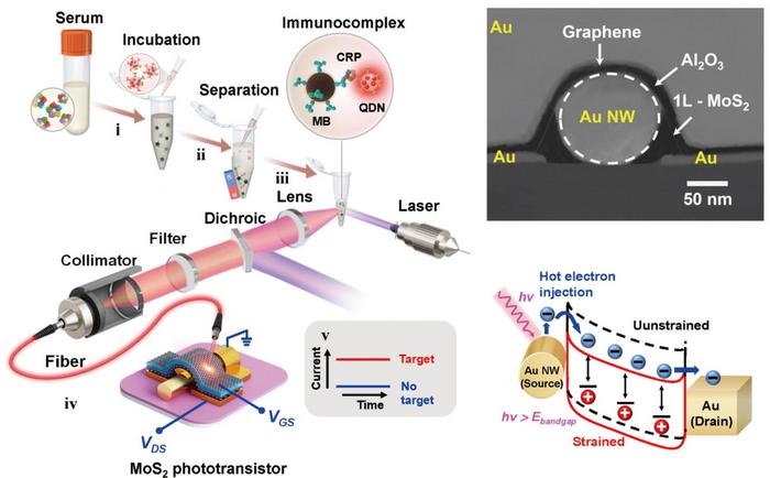 Ultra-sensitive optical immunoassay platform