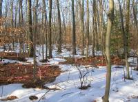 Soil Warming Research Sites