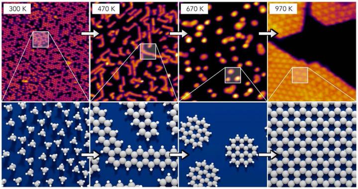 Sequence of Molecules
