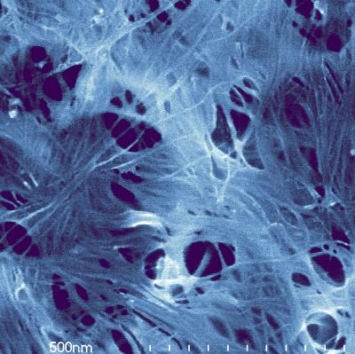 Paperwork: Buckypapers Clarify Electrical, Optical Behavior of Nanotubes