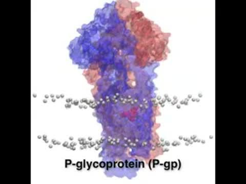 Compound Hope in Battle Against Cancer