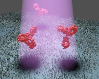 Proteins
