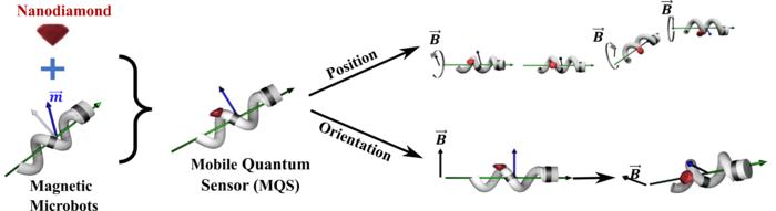 Integration of nanodiamond with microbot to from mobile quantum sensor