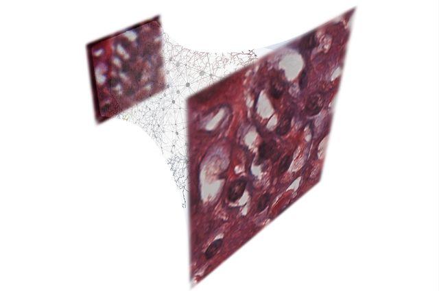 Image Sample