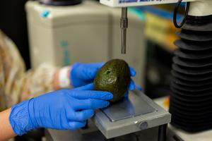 Avocado pressure test