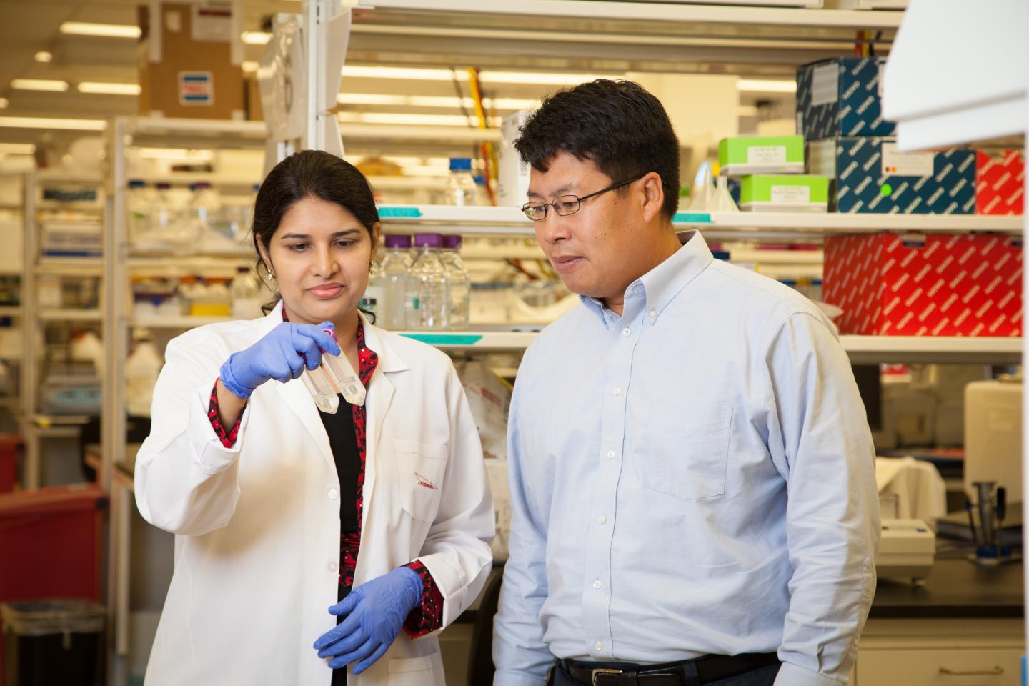 Chin-Yo Lin and Sridevi Addanki, University of Houston