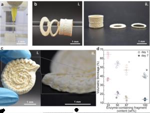 3D printing of scaffolds