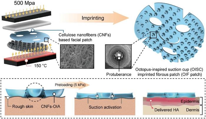 A bioinspired suction-activated nanofibrous patch for adaptive skin adhesion and enhanced transdermal delivery