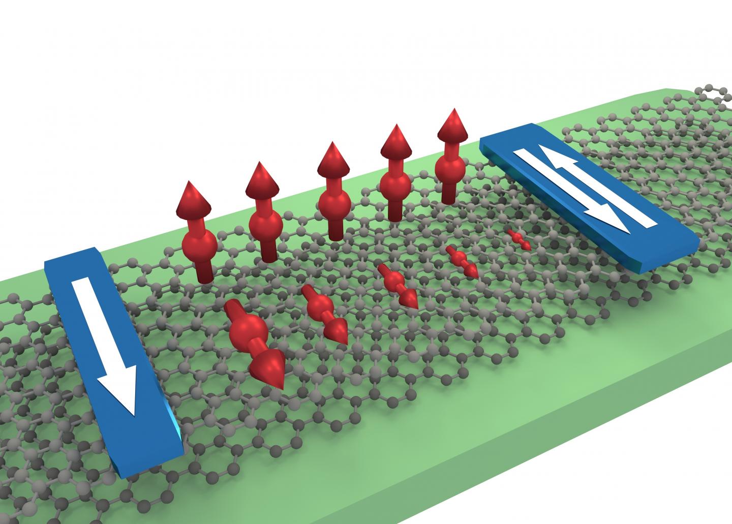 Illustration of Anisotropic Spin Transport in a Bilayer Graphene Flake
