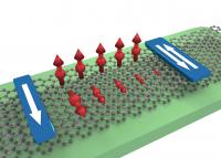 Illustration of Anisotropic Spin Transport in a Bilayer Graphene Flake