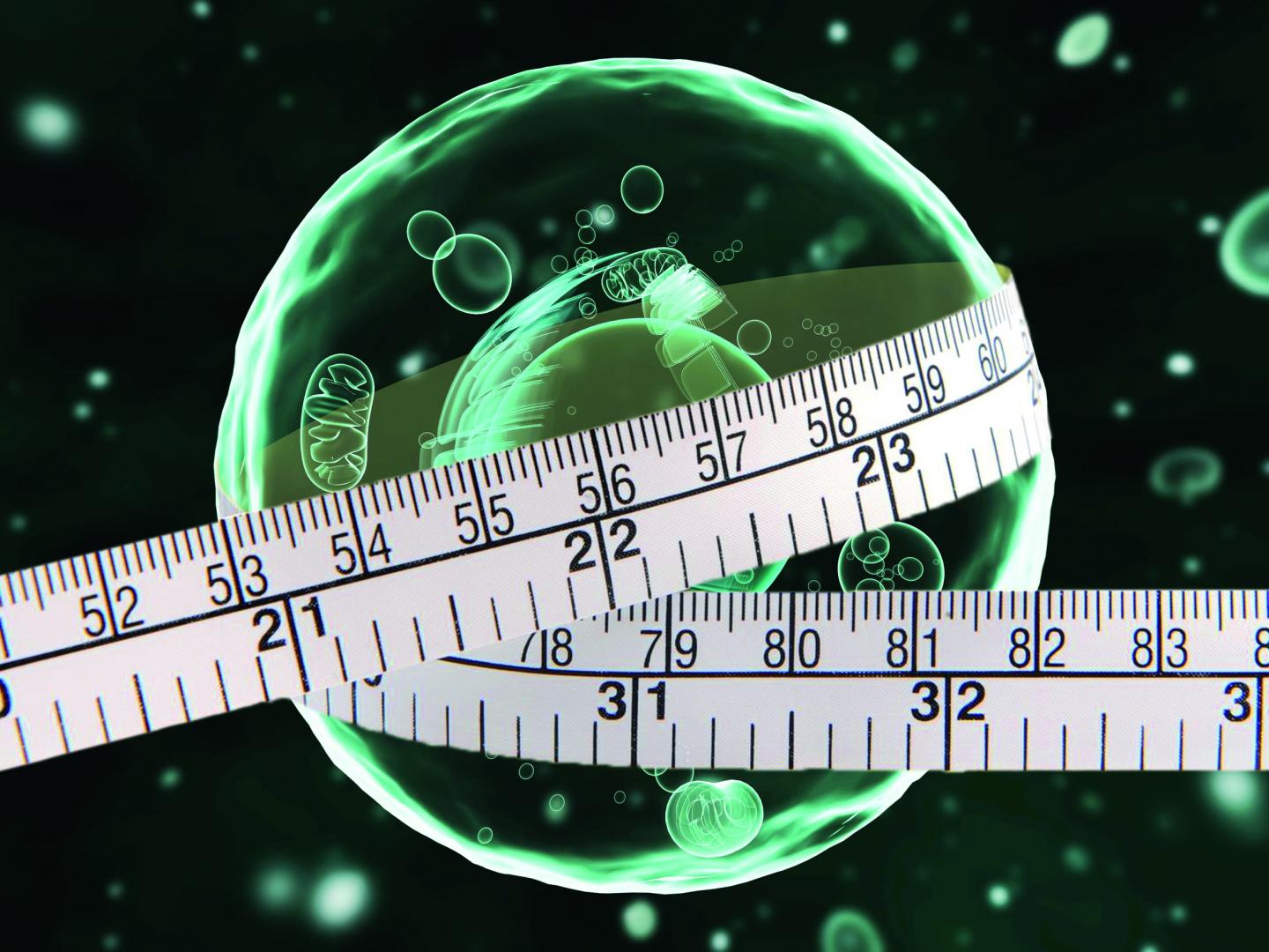 SPICE: Spectroscopy in cells