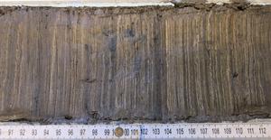 Cross section of a sediment core