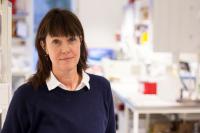 Chatarina Löfqvist, Sahlgrenska Academy