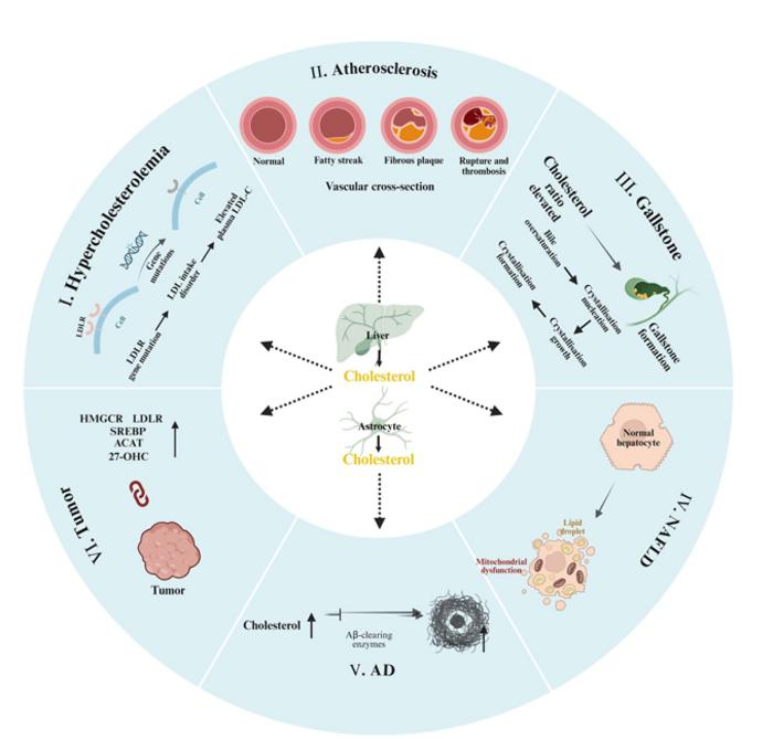 Diseases associated with cholesterol metabolism.
