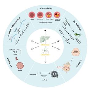 Diseases associated with cholesterol metabolism.